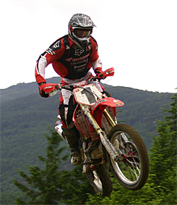 The Dusty Fox