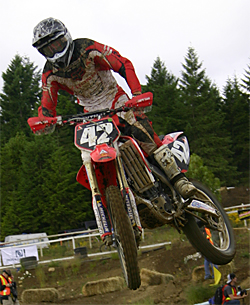 The Dusty Fox